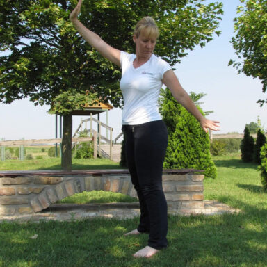 Wu-Shuang-DaoyIn-Kinai-Gerinctorna