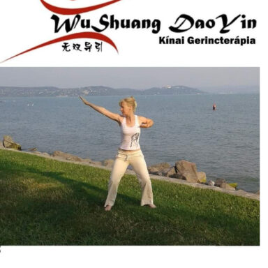 Wu-Shuang-DaoyIn-Kinai-Gerinctorna